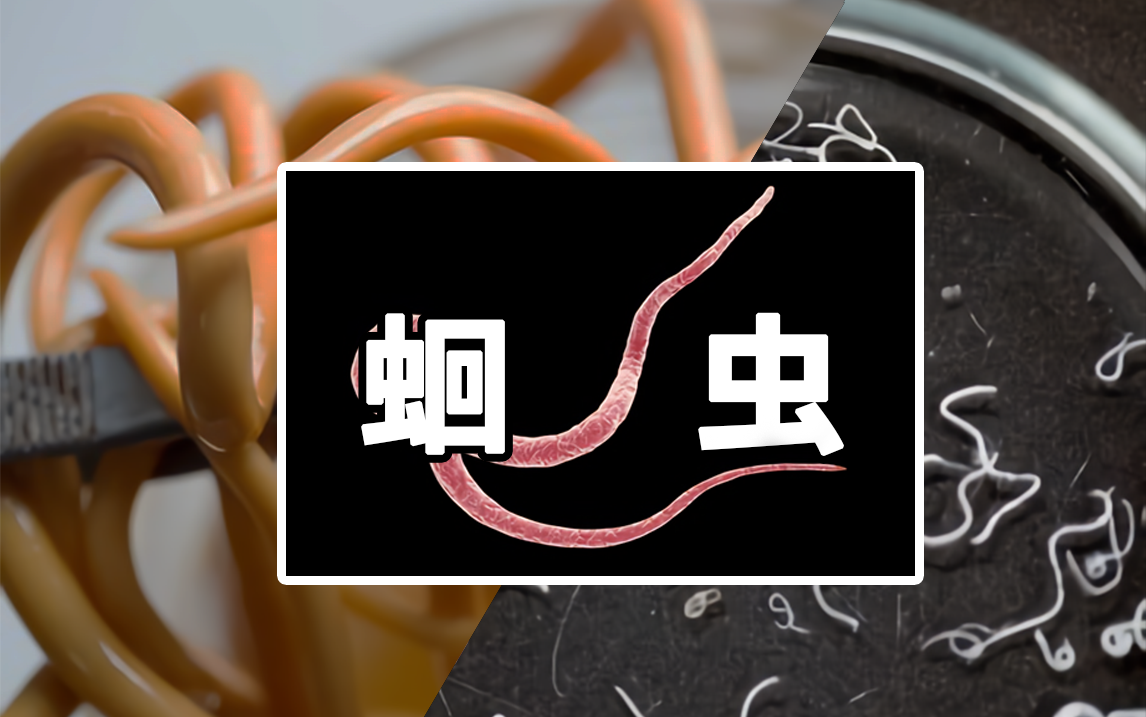 中世纪欧洲的药酒,近代英国社会的毒酒,琴酒因何成名?