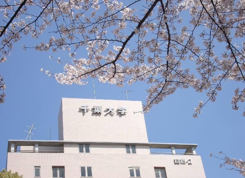 院花说名校 东京圈内的上位国立大学 千叶大学 知乎