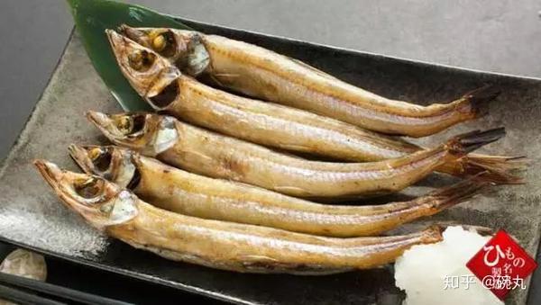 鱚鱼| 确认过眼神,此鱼和爱情有关