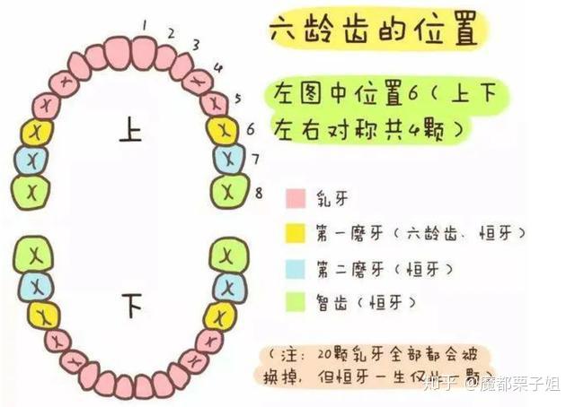 儿童牙齿那点事儿