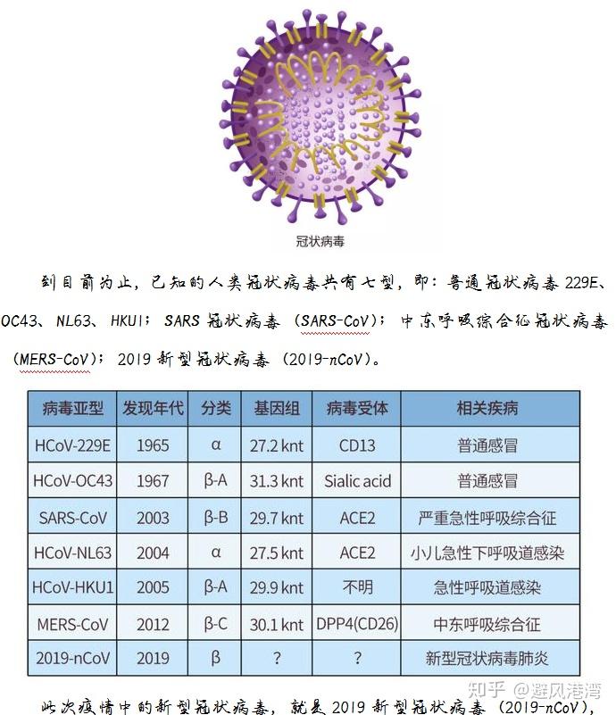 新型冠状病毒的特点