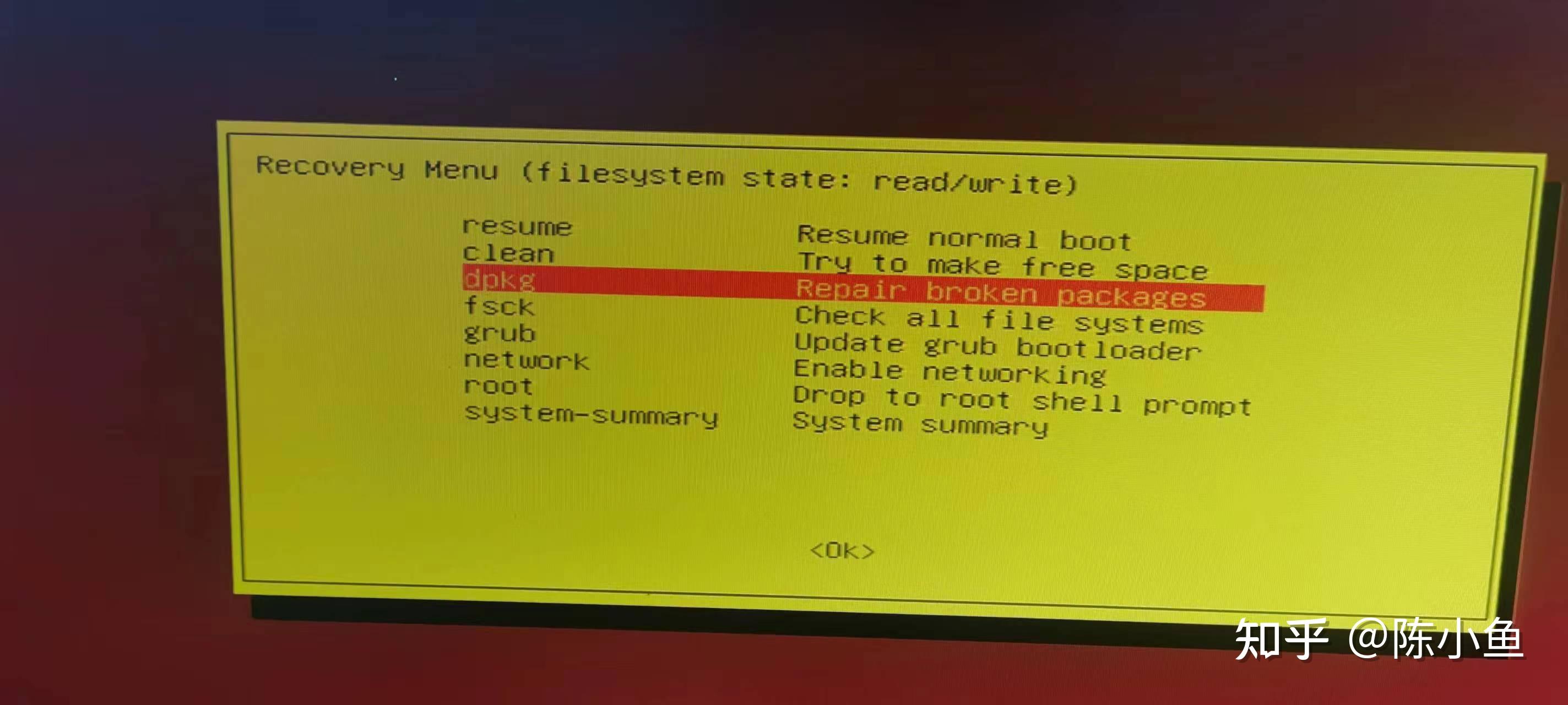 Ubuntu started gnome display manager 