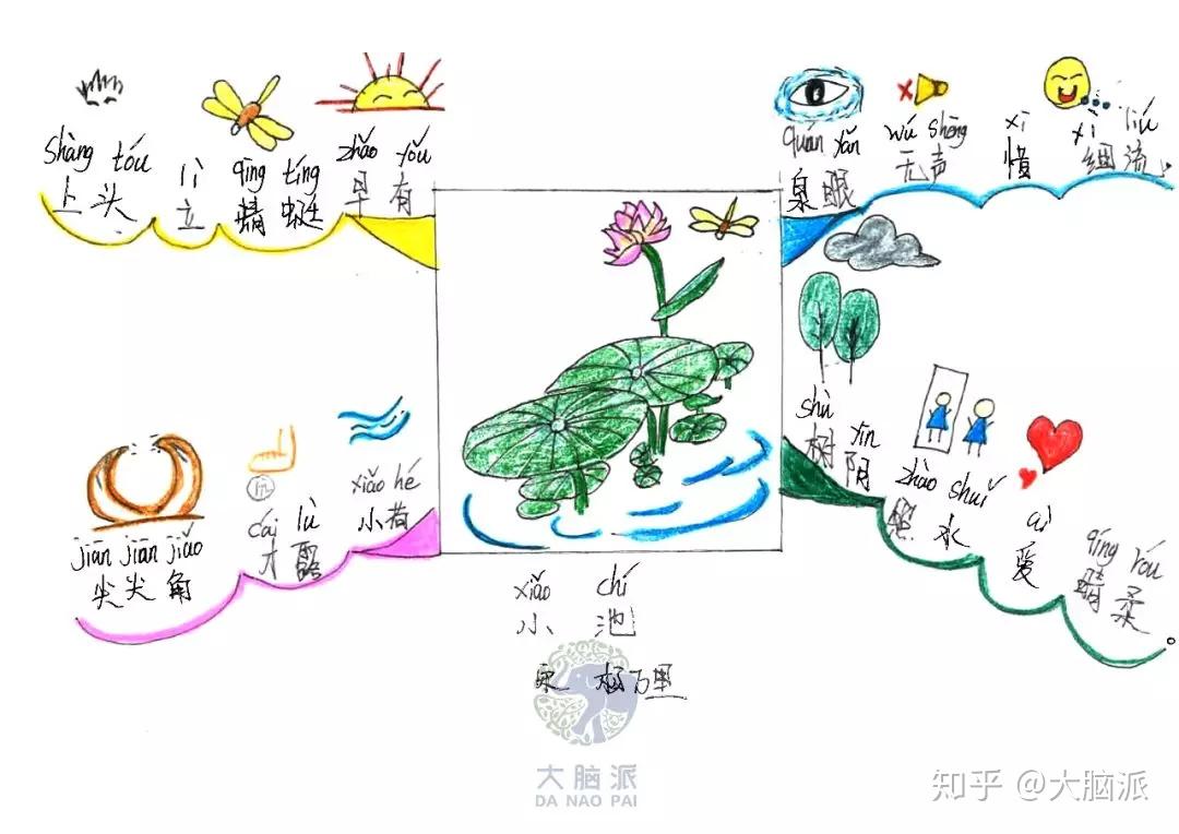 小池思维导图图片大全图片