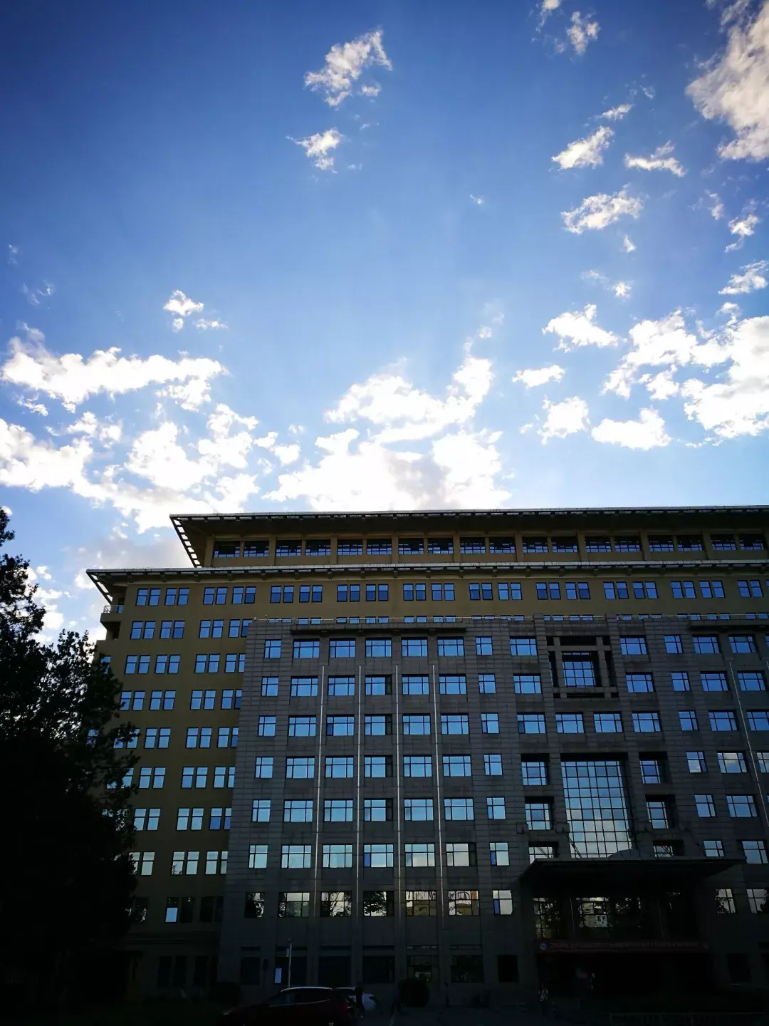 北语数字媒体丨应用性强工作好找薪资领跑