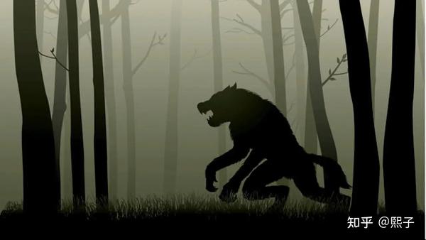 美国动物园疑似拍到类狼生物,会是什么?“狼人”到底存不存在? 知乎