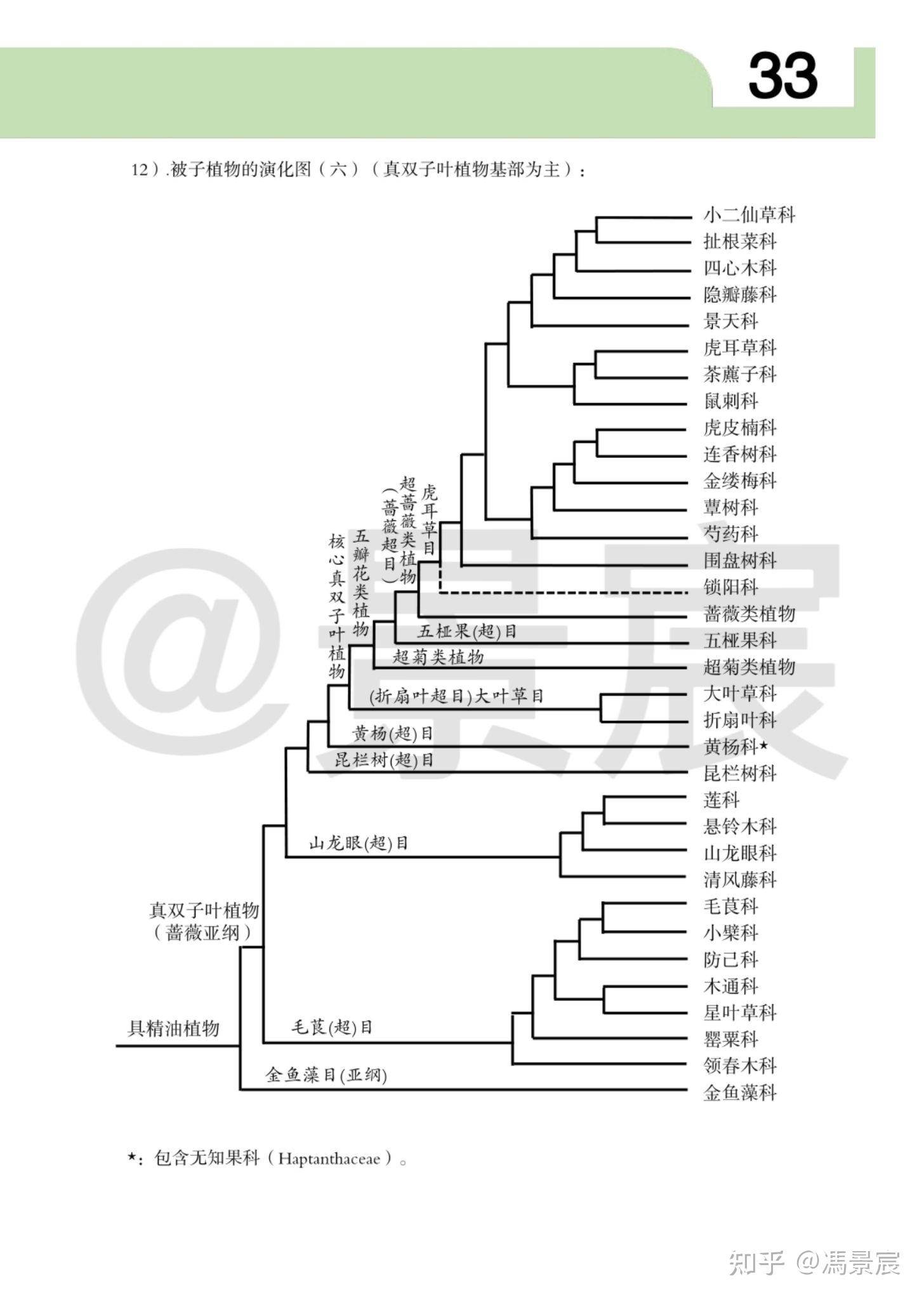 植物系统发生树及植物演化2 - 知乎