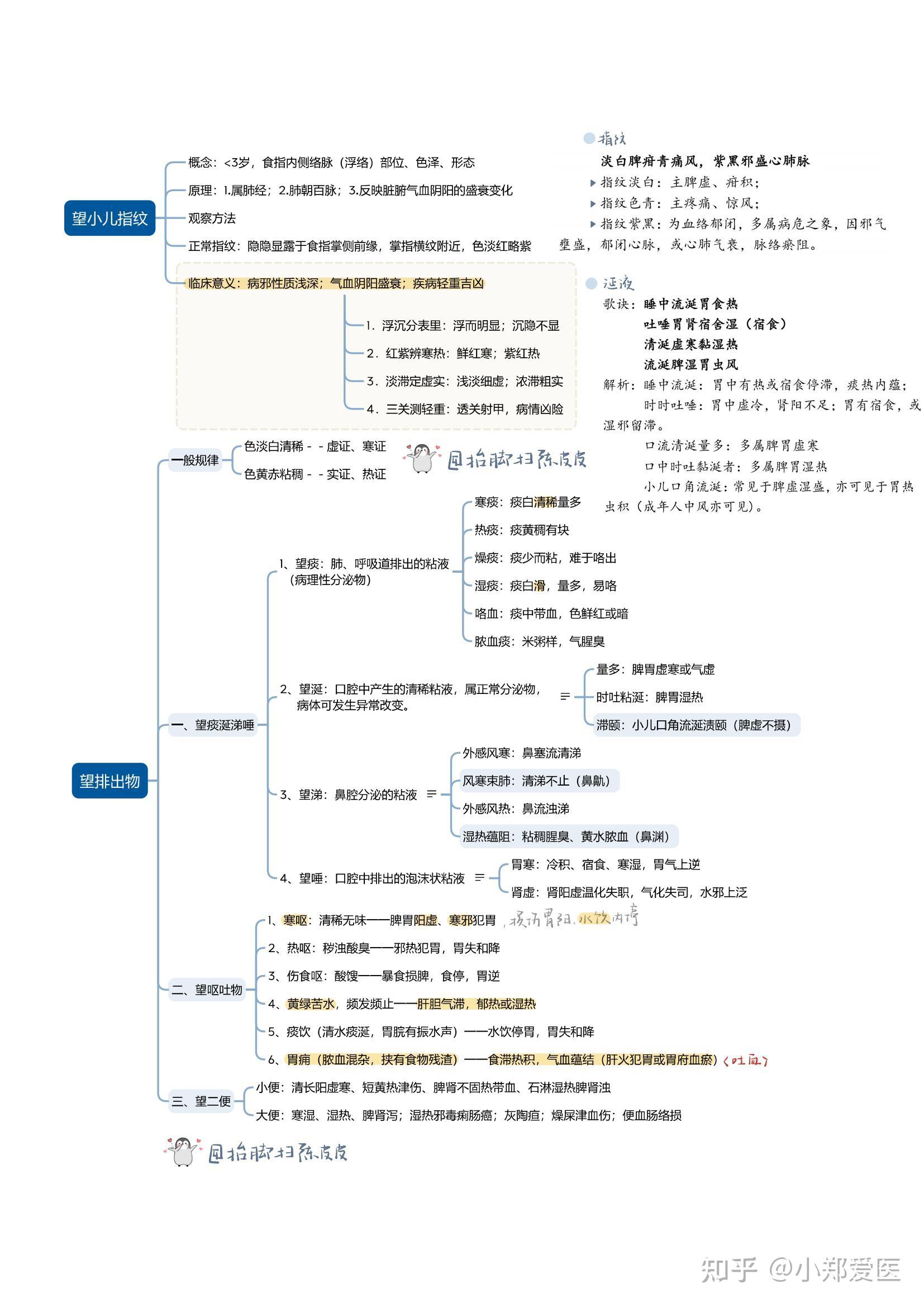 中医四诊思维导图你想要的全面版