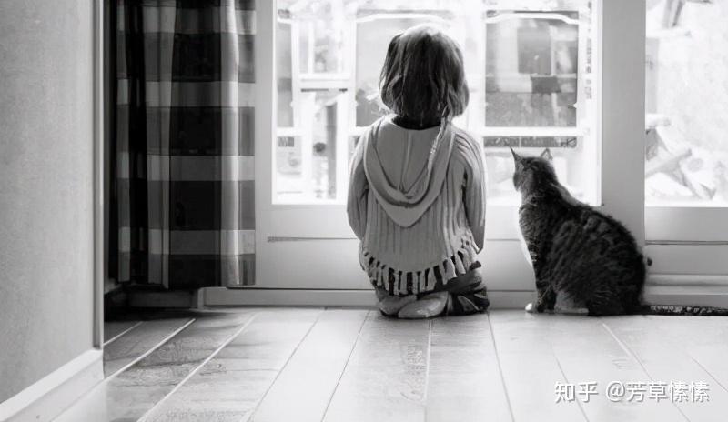 孩子的世界单纯吗1288人参与投票90选择了不单纯