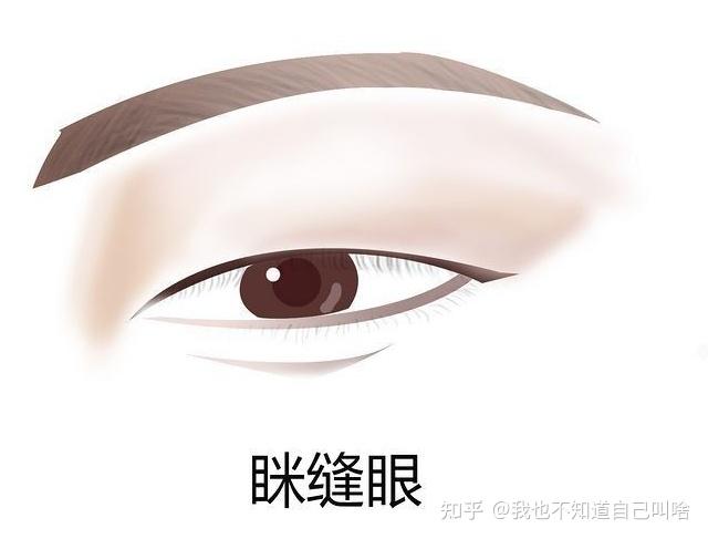 中国人常见的10种眼型,你是哪一种? - 知乎