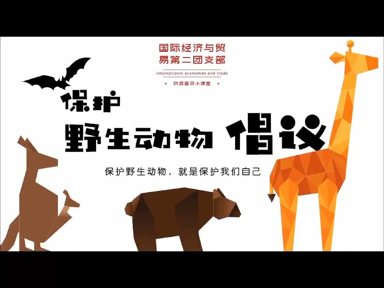 澳大利亚人自发帮助被山火影响的野生动物们,用自己方式保护家园