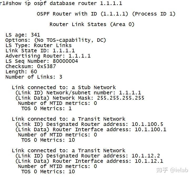  lsa ospf lsa 