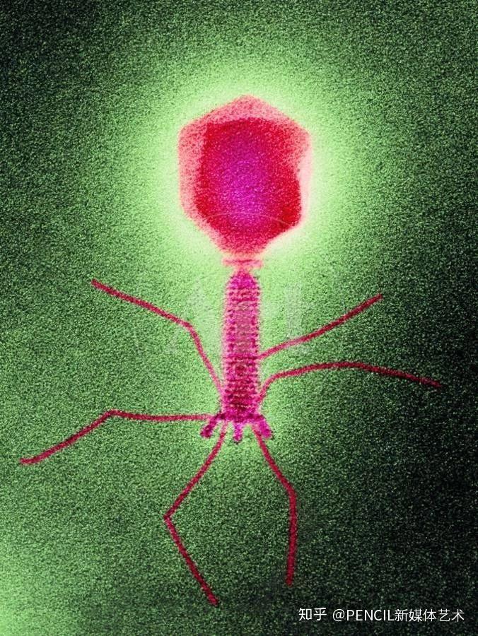 巴西寨卡zika病毒3d模型