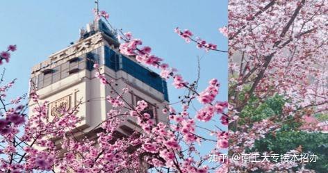 南京市大专院校_南京大专院校_大专学校有哪些好学校南京