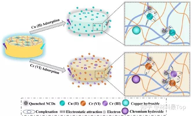 东北林大郭明辉团队cej荧光碳点交联生物质水凝胶高效吸附重金属离子