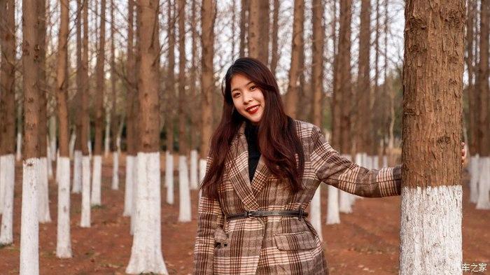 大片的杨树,虽然叶子早都落光了,但拍出来别有一番情调.