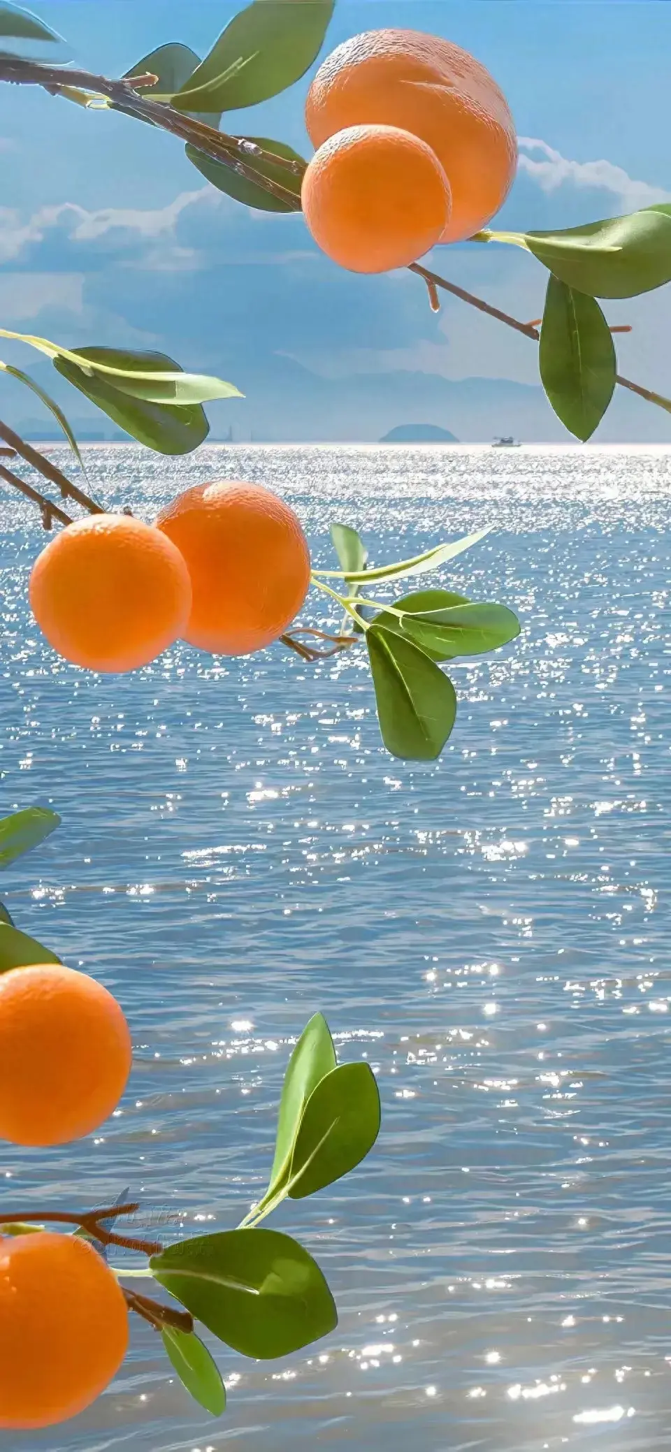 壁纸分享生活不是等着暴风雨过去而是学会在风雨中跳舞
