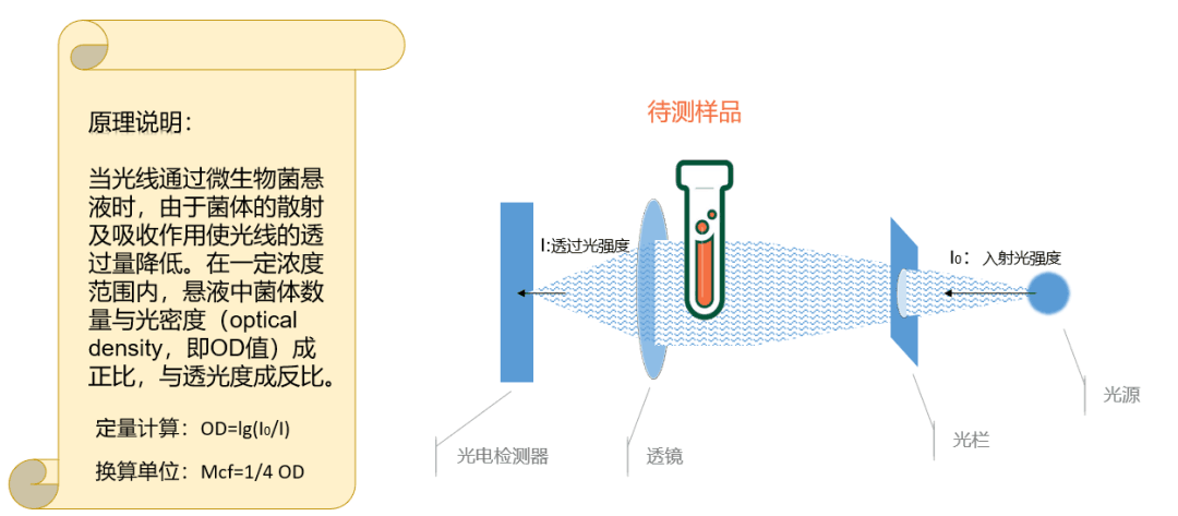 麦氏比浊仪用于微生物检验(含原理介绍) - 知乎