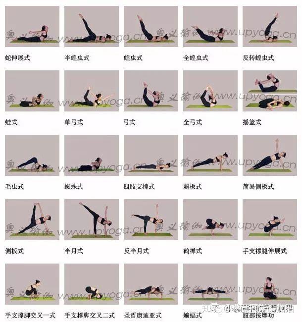 一套系统的瑜伽练习方案（中）—瑜伽流派及体式分类 - 知乎