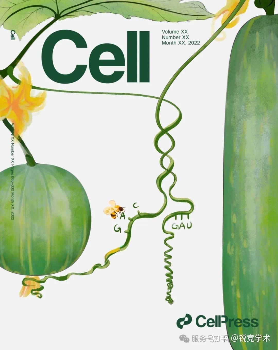 《Cell》封面设计全过程分享 | Vol.188 No.17 - 知乎