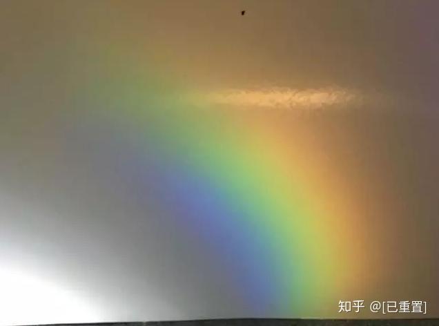 有光就能玩的影子游戏,你还没和孩子玩过吗? - 知乎