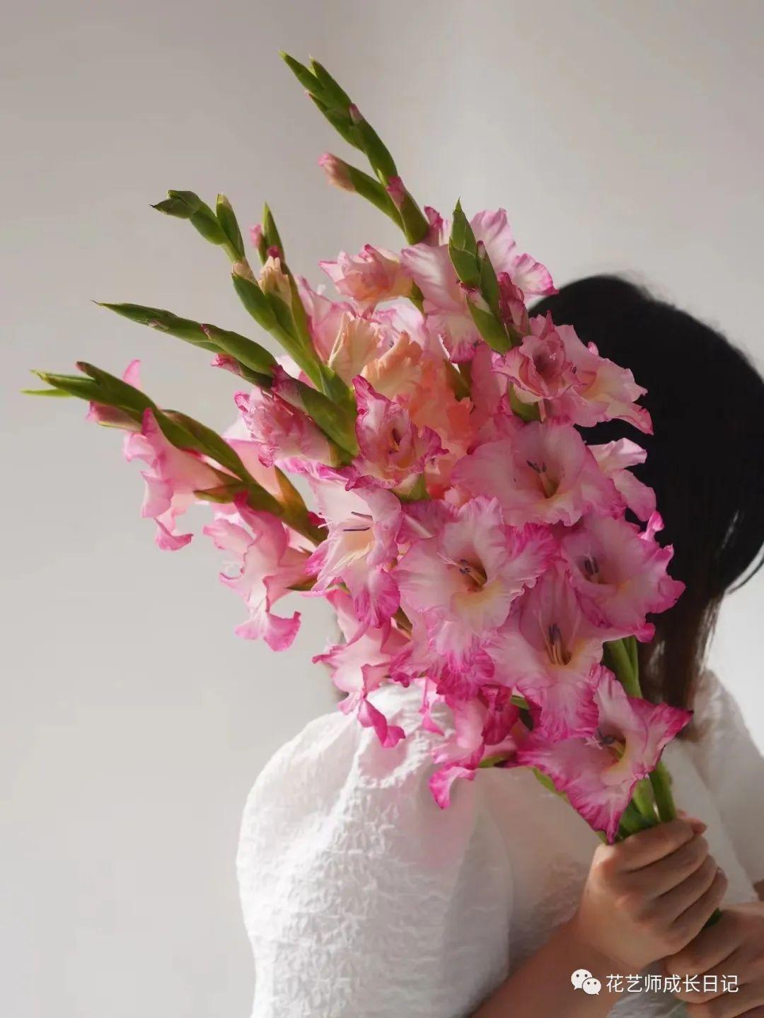 每日一花 | 花脸剑兰,渐变的花边梦幻又温柔~vol.43 - 知乎