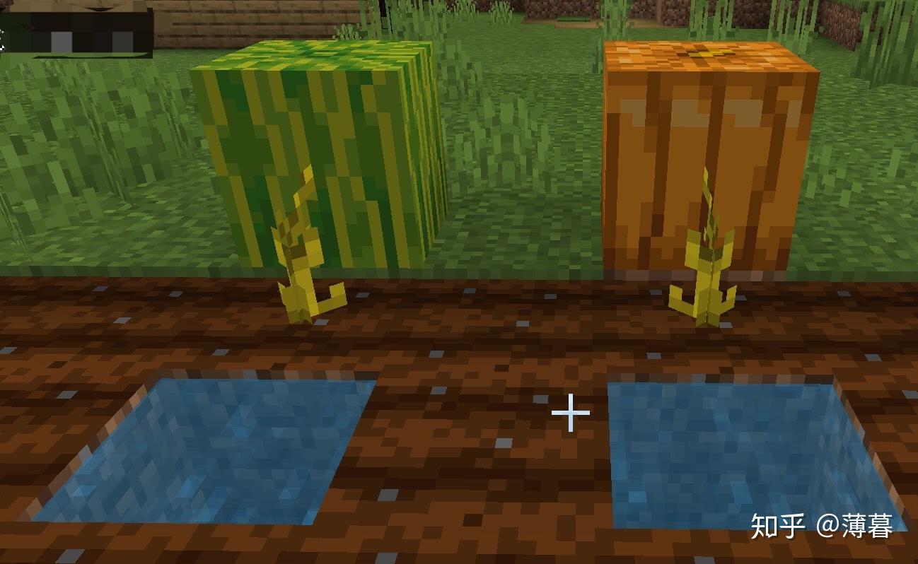 Minecraft生存指南专题:种植 - 知乎