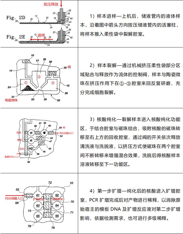 产品解析 | 第7期：FilmArray多重PCR系统 - 知乎