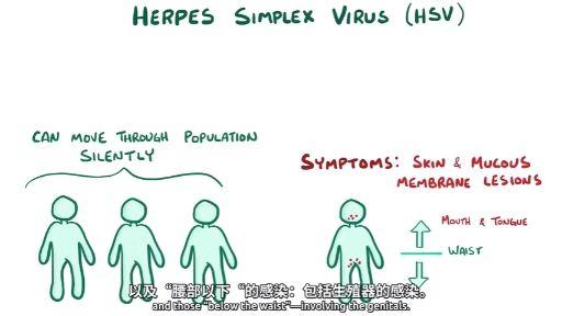 单纯疱疹病毒、水痘-带状疱疹病毒的感染，发病与痛苦。 - 知乎