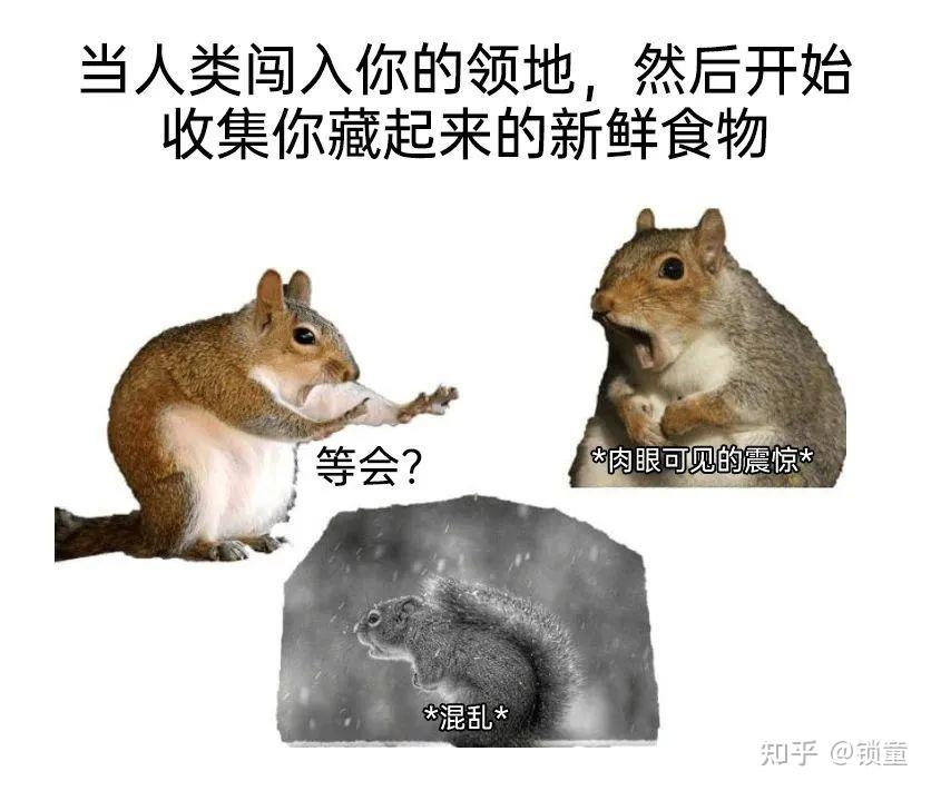 保存下meme(17) - 知乎