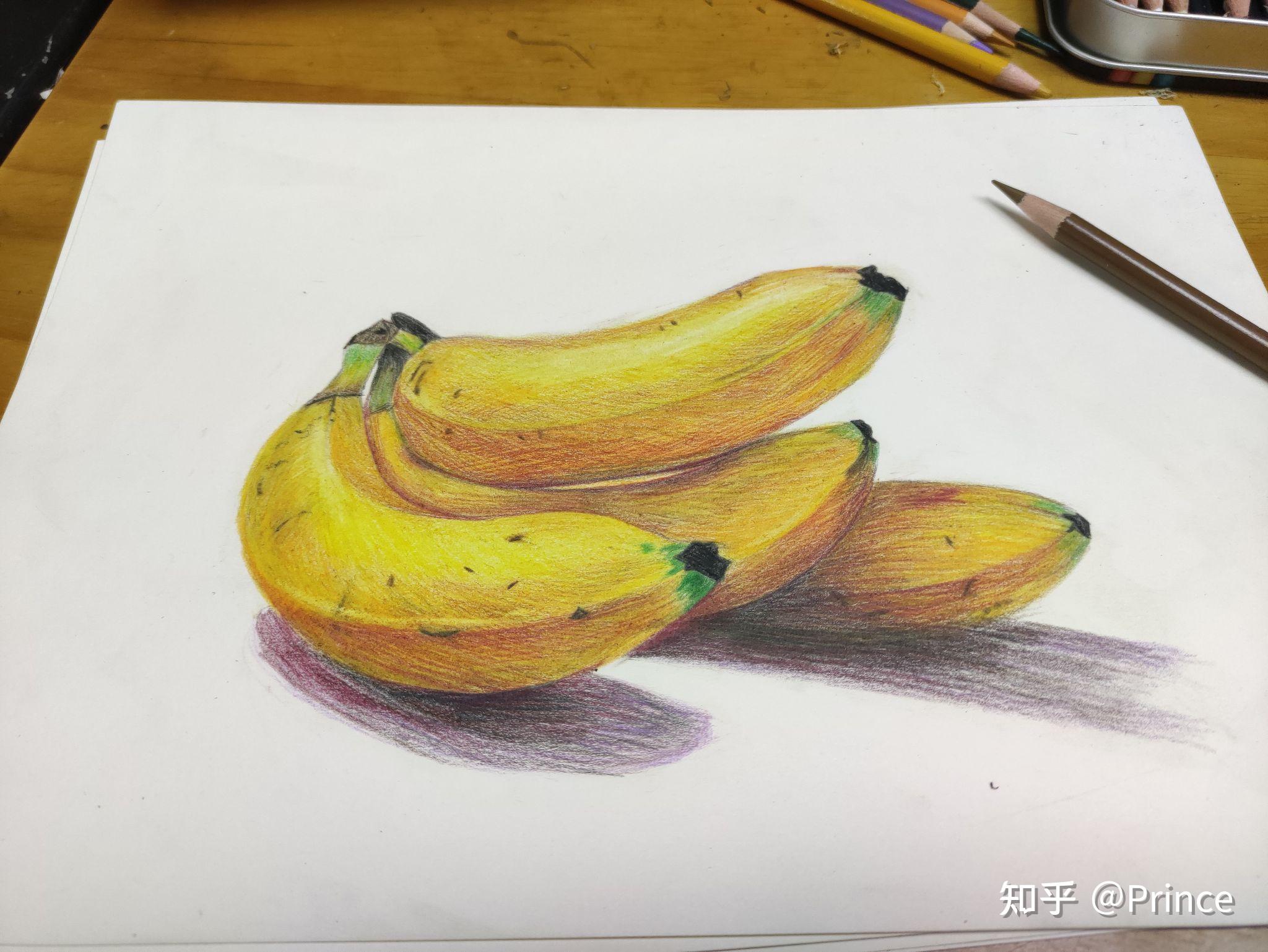 素描彩铅摸索