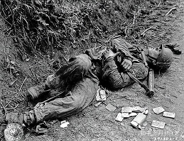 缅甸内战阵亡士兵图片图片