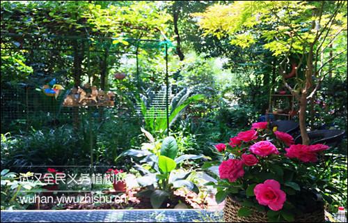 园艺学堂 10月 11月花事的养护指南 知乎 园艺学堂 10月 11月花事的养护指南 知乎