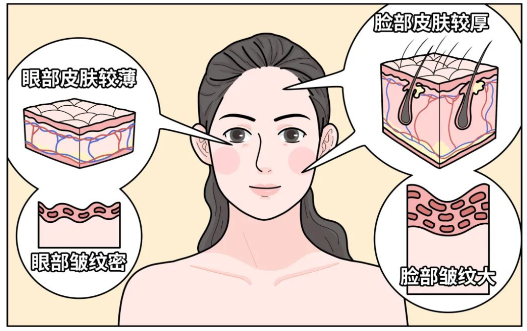「冻龄」的秘密是什么?最戳心的真相在这里…|从入门到行家 - 知乎