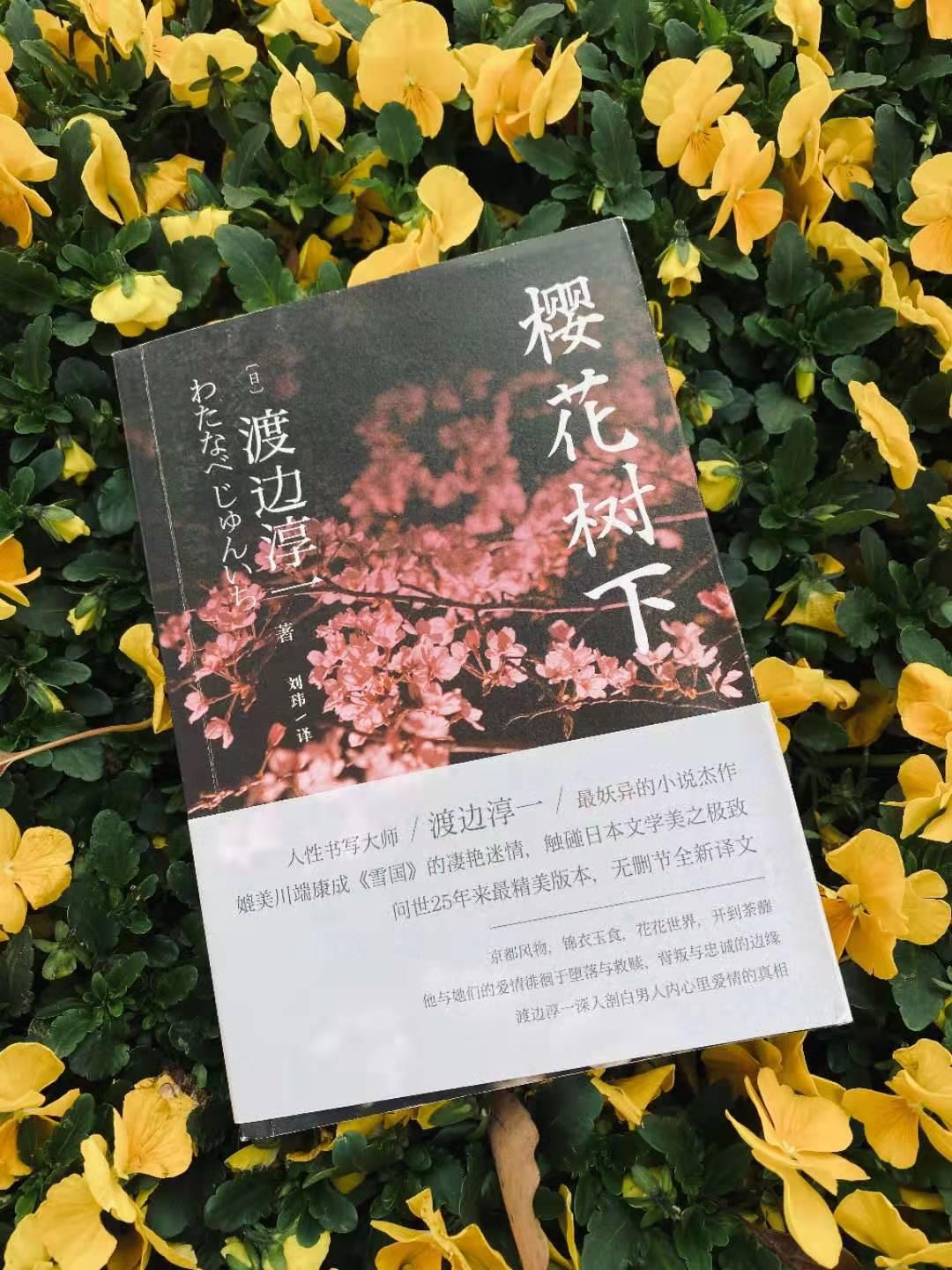 书单推荐樱花树下渡边淳一和他的樱花情结