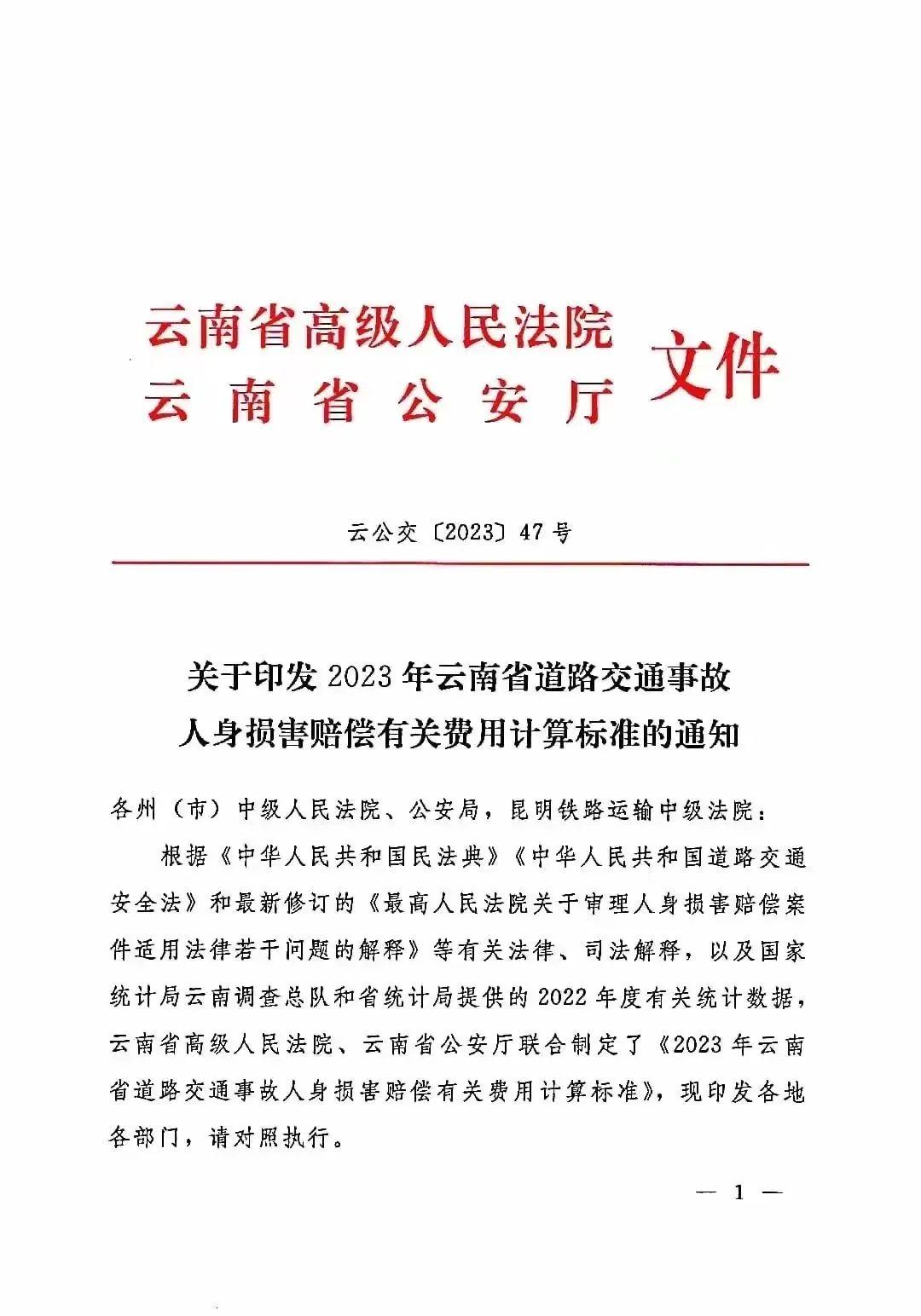 云南地区2024年人身损害案件最新赔偿标准发布 