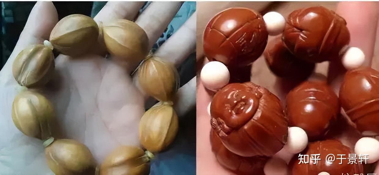 你玩的橄榄核是什么品种?搞清楚橄榄核的分类,玩核不迷茫!