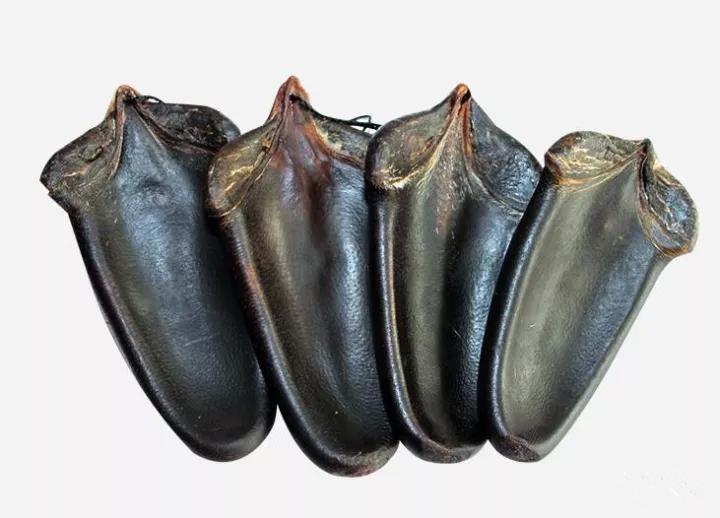 阴血之精华鹿尾