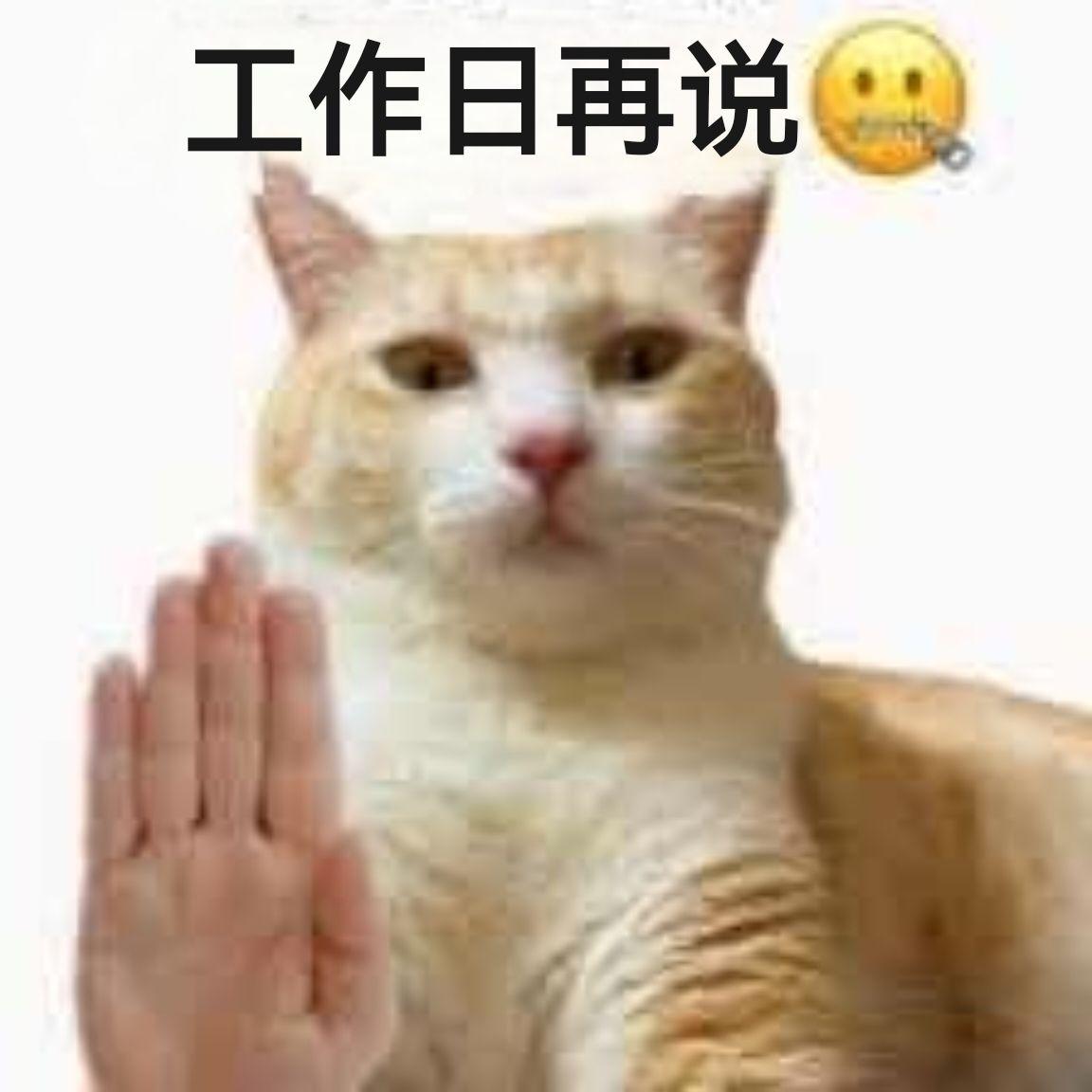 打工人表情包大全(持续更新):不想上班表情包、卑微表情包、乙方表情包、meme梗图,高清无水印 - 知乎