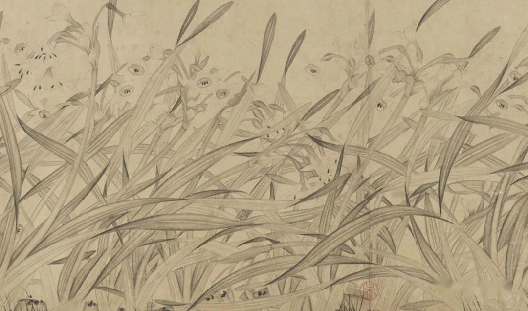 赵孟坚:白描水仙图卷