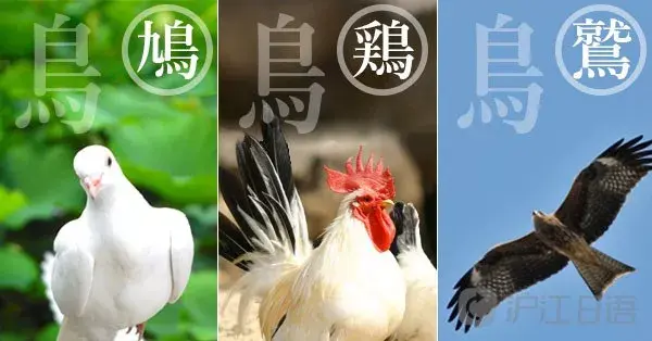 灵魂拷问 日语里究竟有多少汉字 知乎