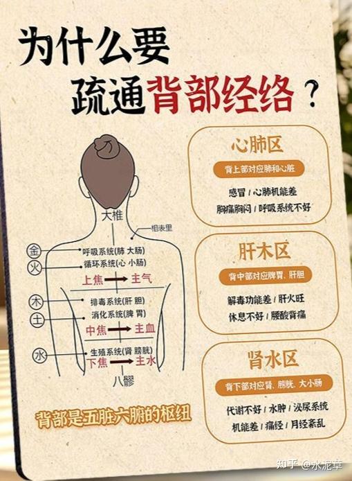 倪师讲:每天捶背的好处 - 知乎