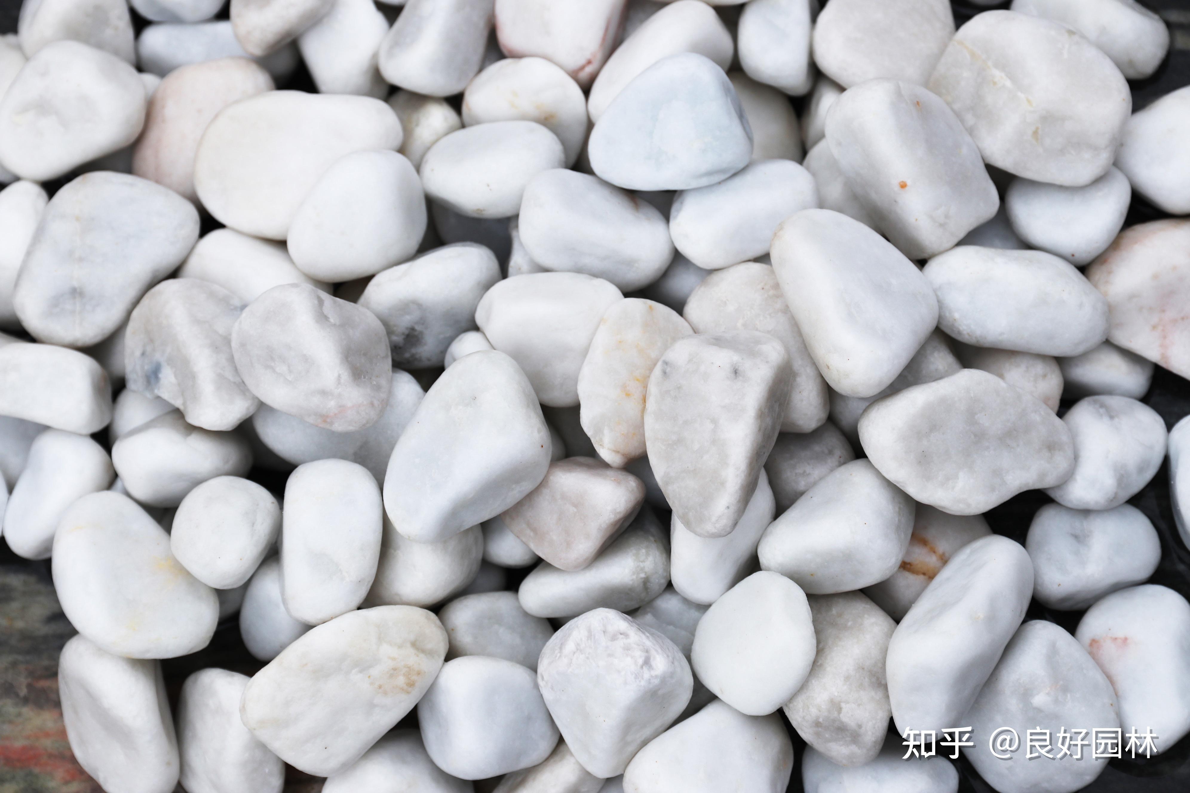 一颗鹅卵石居然有丰富的来头