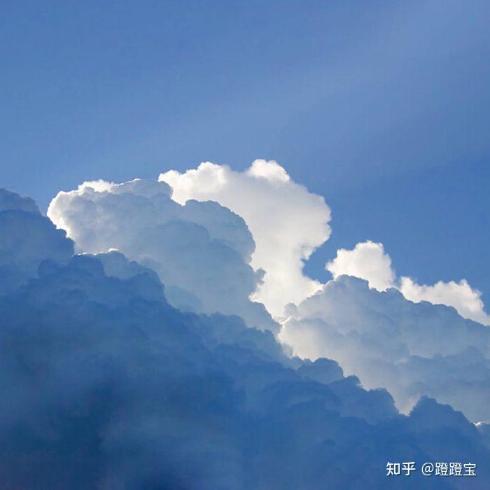 拿走不谢好看的治愈系朋友圈背景图