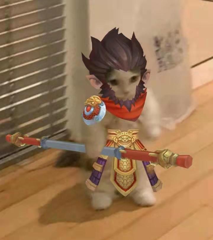 英雄联盟猫猫表情包集合(第一期) - 知乎