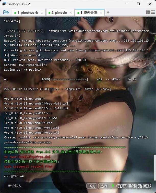 2023pi frp wireguard 