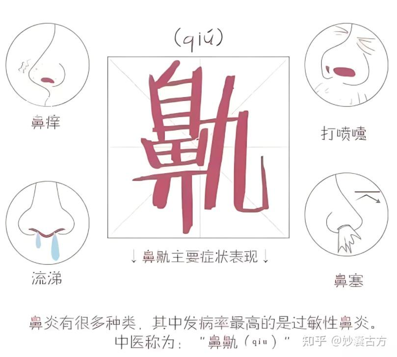 科普知识：过敏性鼻炎在中医里叫什么？ - 知乎