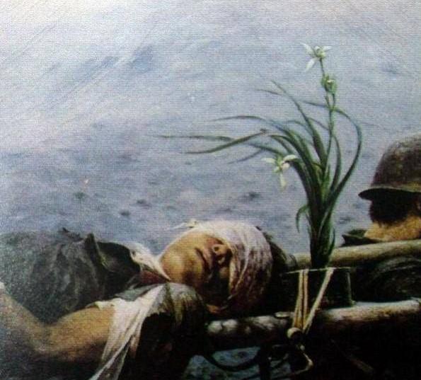 决不丢下一个伤员民兵排长舍生忘死在越军眼皮子底下救人