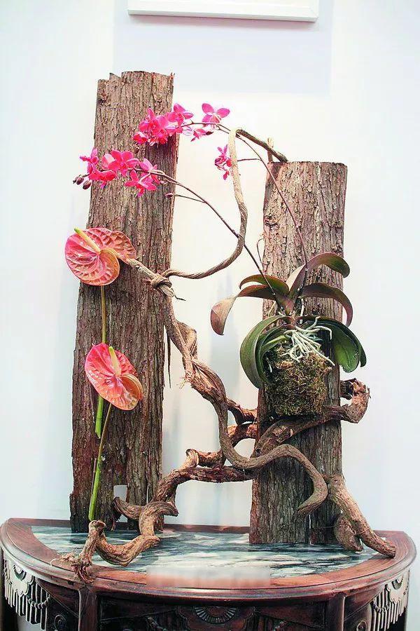 枯木花艺 | 最喜枯木又逢春 - 知乎