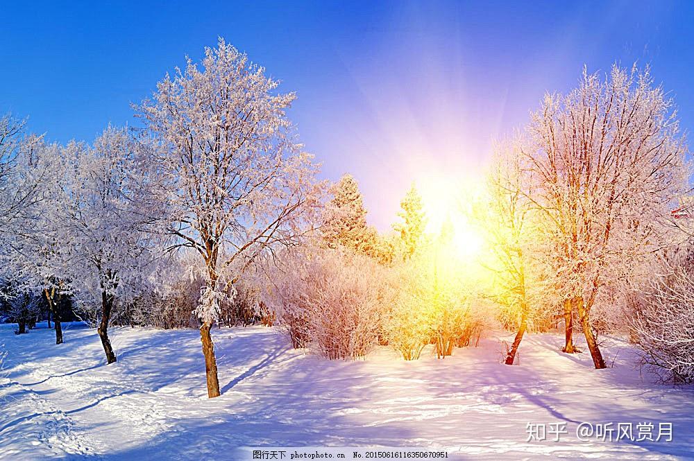 冬日的一缕阳光作者听风赏月