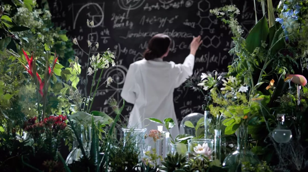 有机护肤迎产业风口 德国柏琳安娜柏林如何行动 知乎